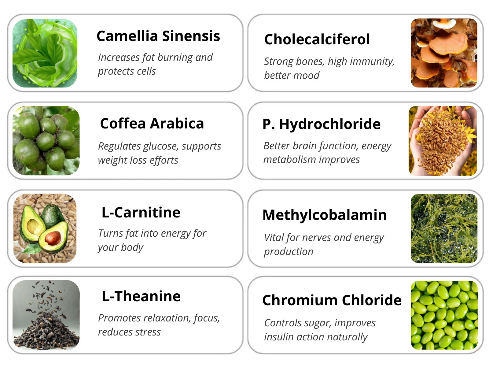 Ingredients Mobile 2